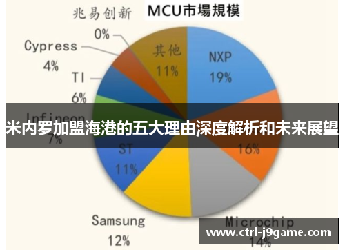 米内罗加盟海港的五大理由深度解析和未来展望 米内罗加盟海港的五大理由深度解析和未来展望