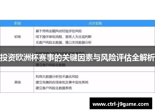 投资欧洲杯赛事的关键因素与风险评估全解析