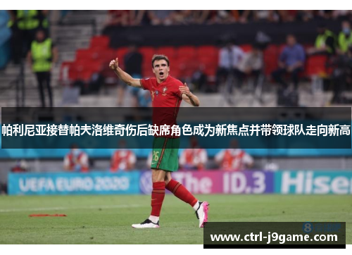 帕利尼亚接替帕夫洛维奇伤后缺席角色成为新焦点并带领球队走向新高